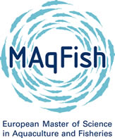 european masters logo european masters logo